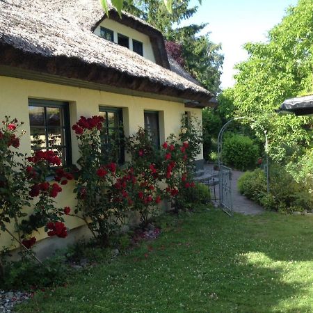 Urlaub Unter Reet Apartment Bergen Auf Rugen Exterior foto