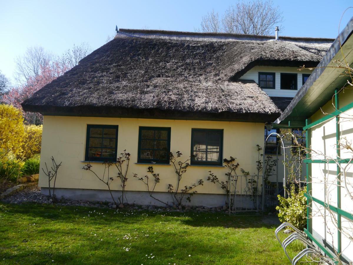 Urlaub Unter Reet Apartment Bergen Auf Rugen Exterior foto