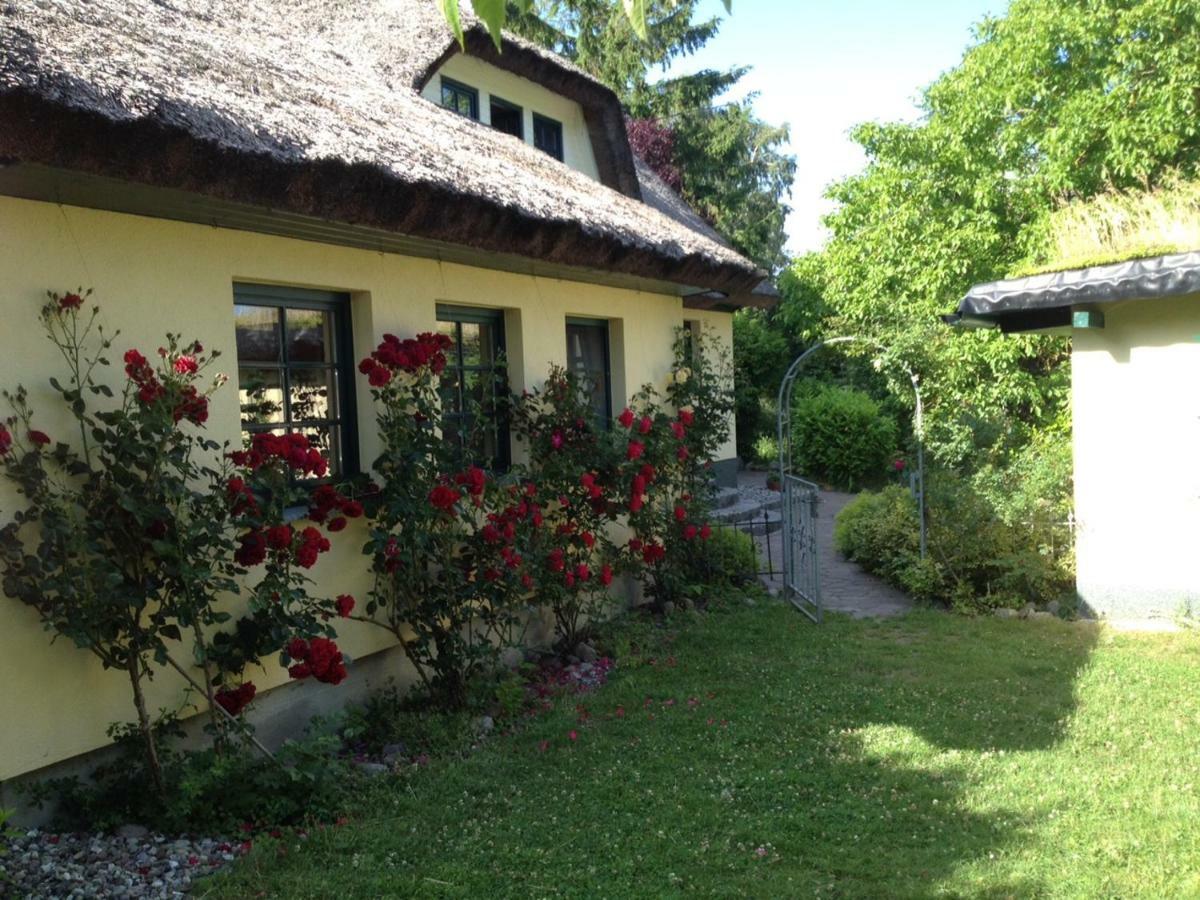 Urlaub Unter Reet Apartment Bergen Auf Rugen Exterior foto